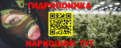 2c-b Новозыбков