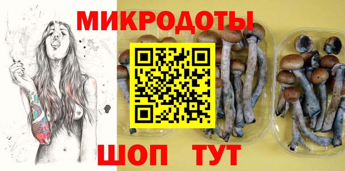 Галлюциногенные грибы Psilocybe Реж