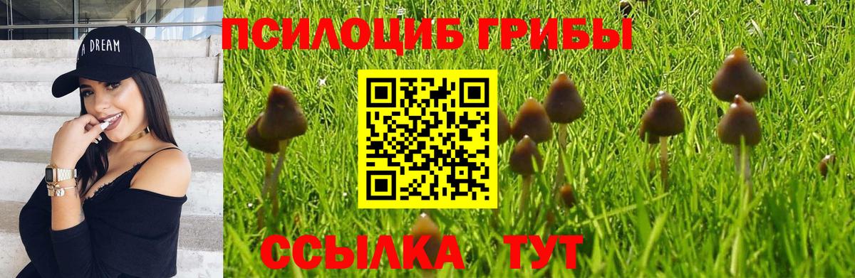 Галлюциногенные грибы мухоморы  Галлюциногенные грибы ЛСД  Вход с VPN  наркота  Реж 